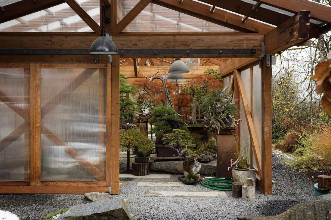 Bonsai Mirai Greenhouse Evolution