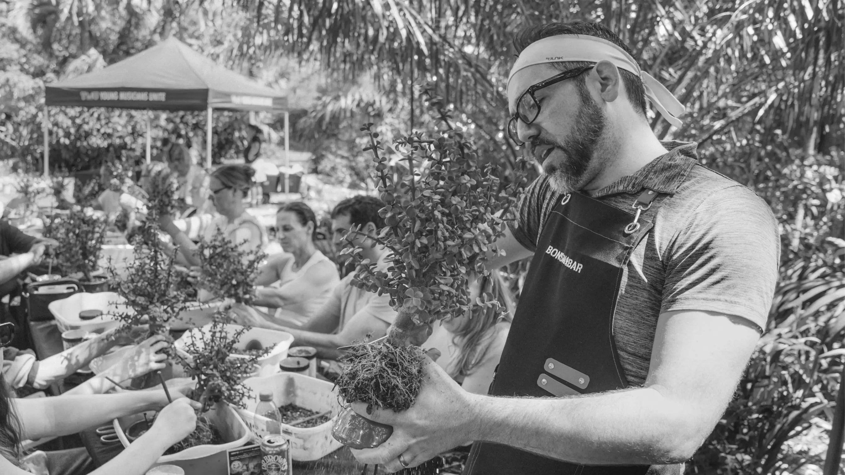 Setting the BAR for Bonsai Ambassadors with Tim Arsenault