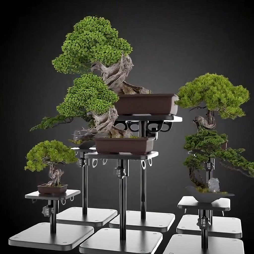 Turntable bonsai Scene display