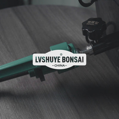 Bonsai tree turntableDisplay
