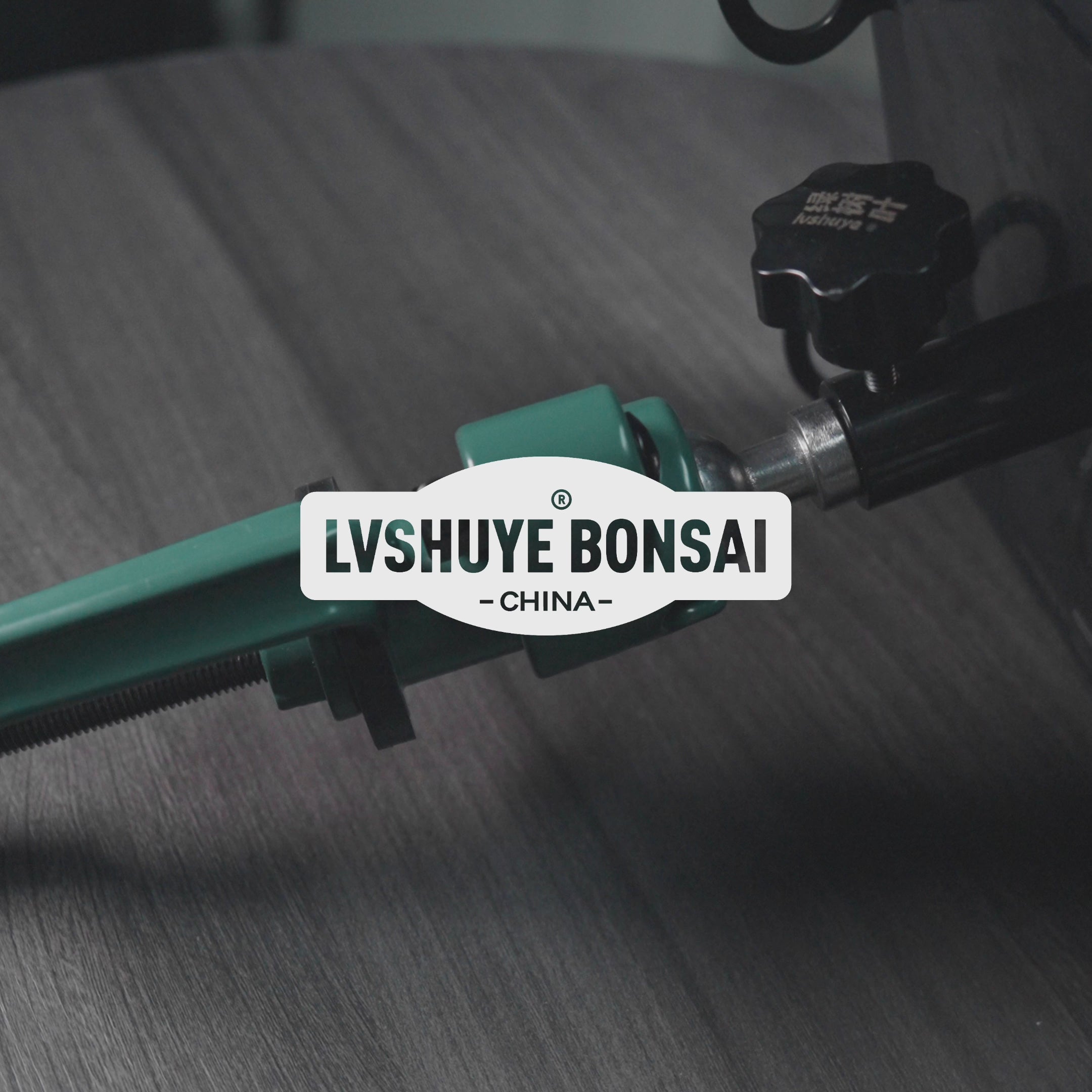 載入影片： Bonsai Turntable Video