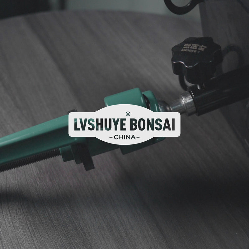 Bonsai Turntable Video